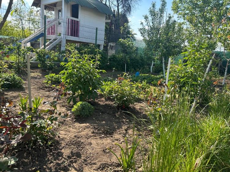 Casa pe structura metalica - 10