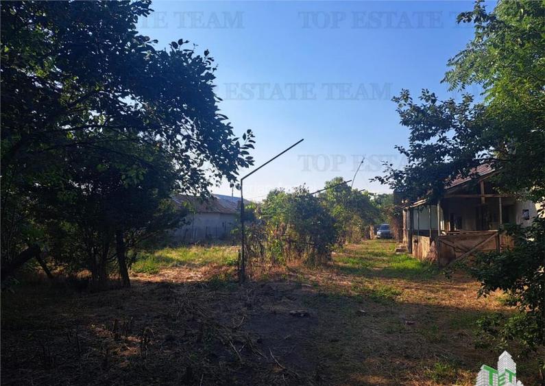 Casa cu teren 3579mp in com. Cascioarele, Jud. Giurgiu Casa cu teren 3579mp in com. Cascioarele, Jud. Giurgiu
