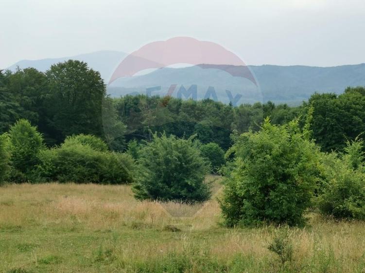 Teren aproape de pădure, situat într-o zonă aerisită - 8