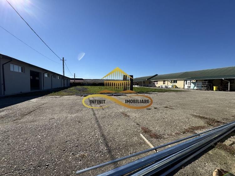 Hala de inchiriat Bacau Buhoci access tir birouri - 26