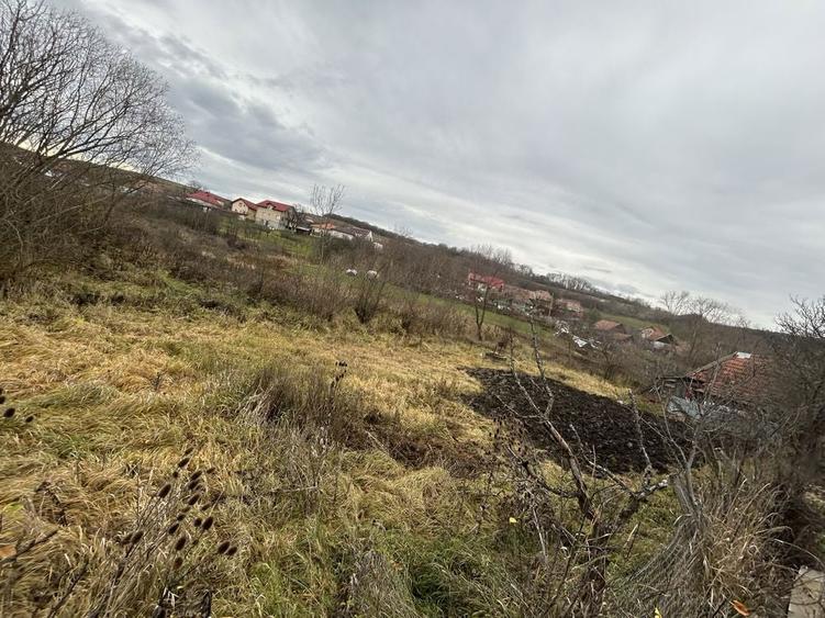 Vand casa batraneasca la 20km de Cluj+ 2400mp teren intravilan - 4