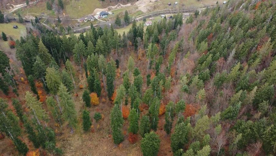 Vand cabana si teren 8ha - 5