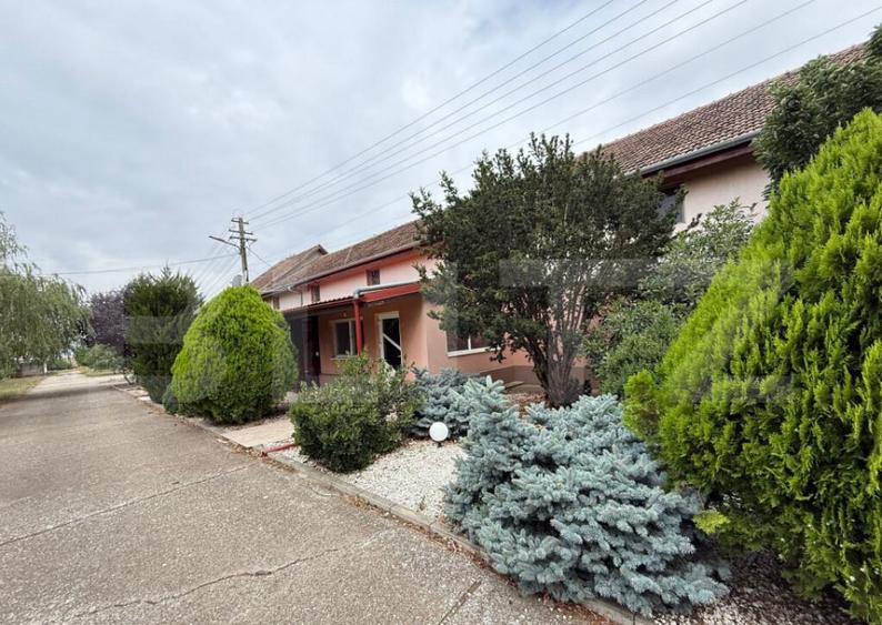 Ferma de Vanzare in judetul Timis, la nord est de Timisoara, - 5