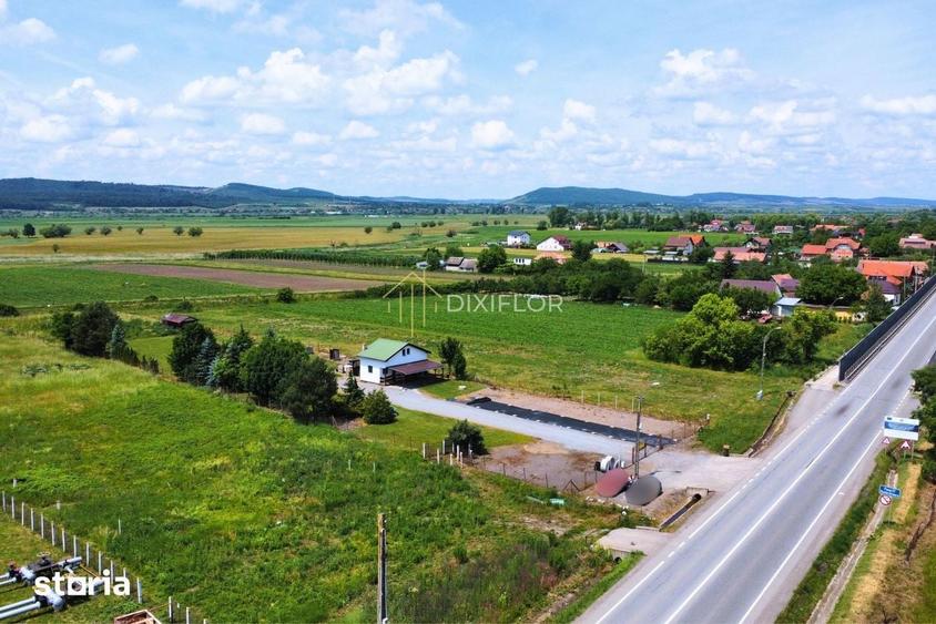 Teren intravilan cu cladire | Dumbravioara - 3