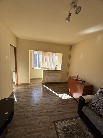 Apartament 1 camera la 10 minute de Iulius Mall - 10