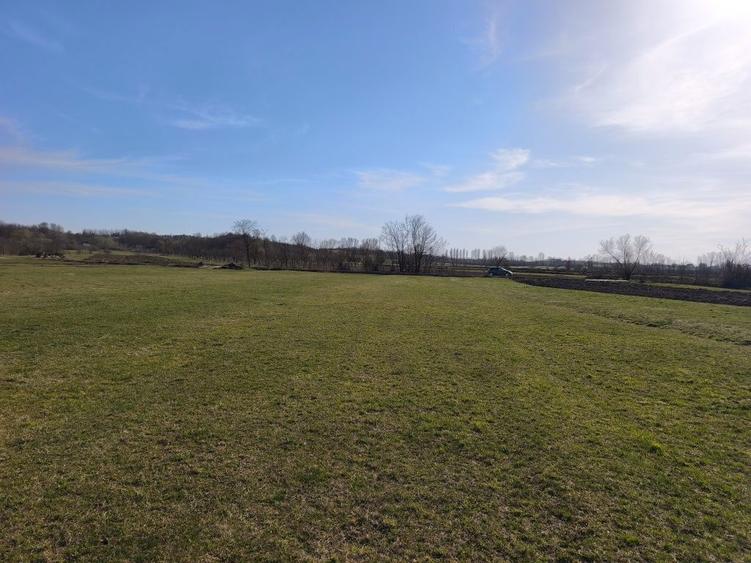 Teren intravilan ,36 arii , Chechis ,la 12 km de Baia Mare - 1