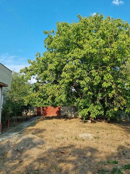 Casa de vanzare Poganu Olt - 8