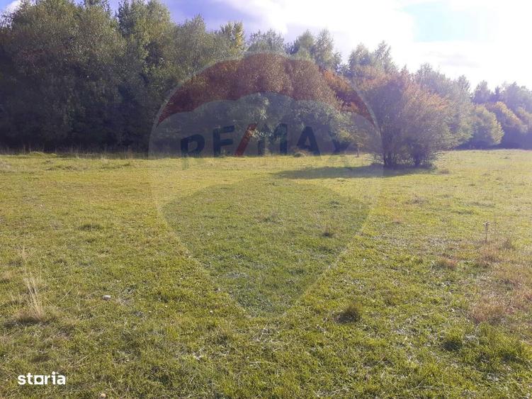 Teren extravilan Rasnov , Glajerie-Str Poiana velicanului, 1100mp - 8