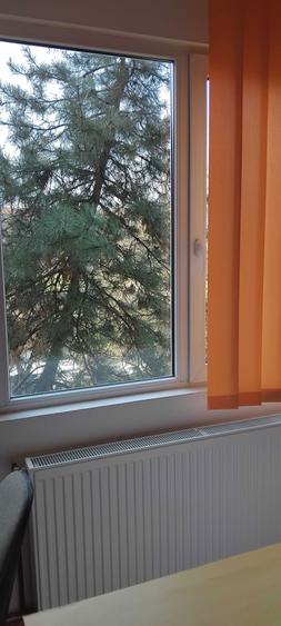 Proprietar inchiriez ap 2 cam langa Medicina - 3