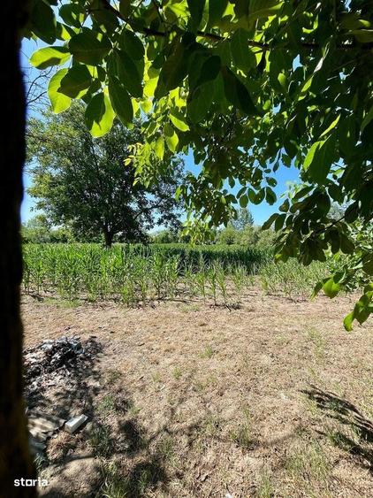 Casa cu 5 camere in localitatea Sacuieni - 1