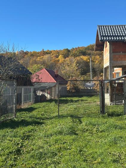 Casa batraneasca + casa noua la rosu, teren 6.900 mp Cotmeana, Arges - 2