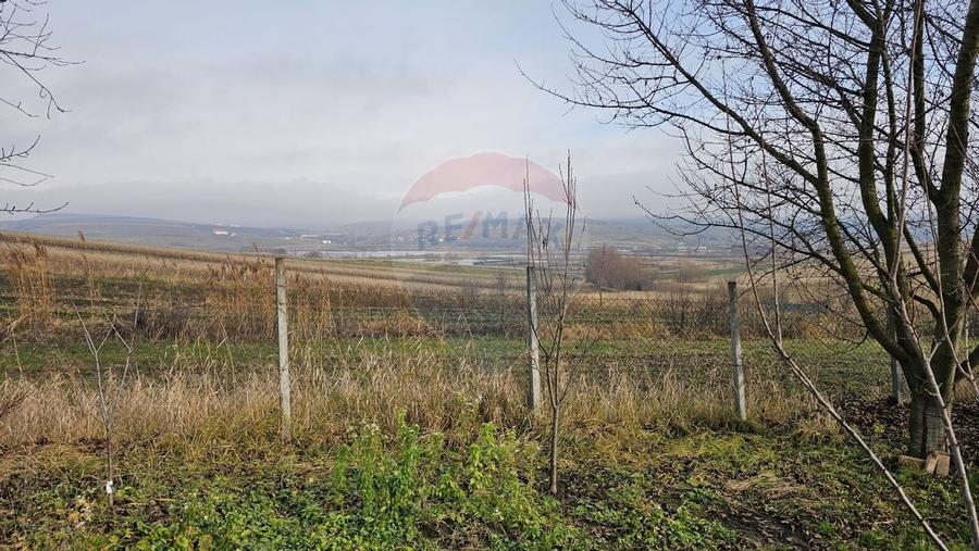 Teren extravilan 10,791mp Falticeni / Strada DJ209A, Opriseni - 13