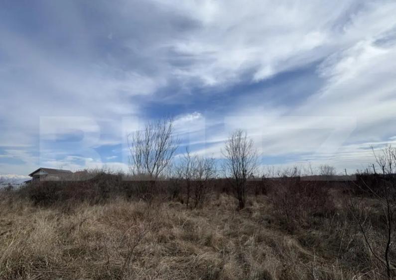 Teren extravilan de vanzare, 15.000 mp, zona Narcise II - 1