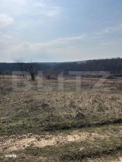 Teren intravilan de vanzare, 9783 mp, Paleu zona Iacului - 2