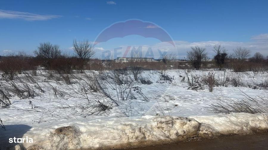 Teren 9,000mp Buftea / Strada Randunelelor - 5