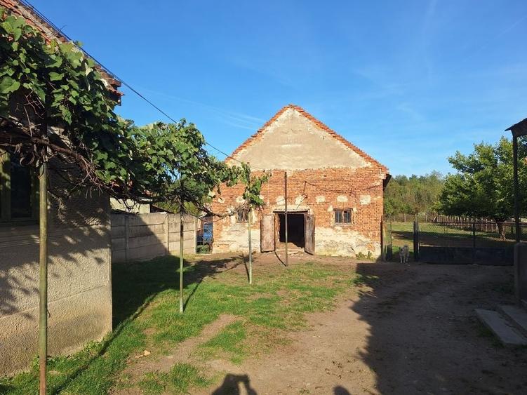 Casă cu 3 camere în Bărăștii Hațegului