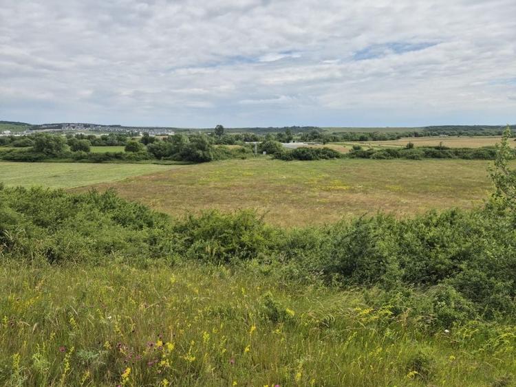 Teren agricol extravilan de 11500 mp, în Cristian
