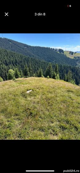 Teren de 15000 mp, în Petros