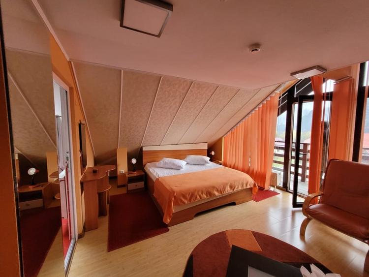Hotel mobilat utilat teren 1300 mp. Functionează și produce venituri - 4