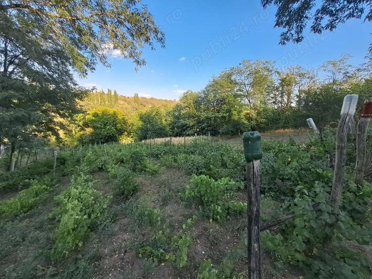 Casă cu 3 camere în Băneasa
