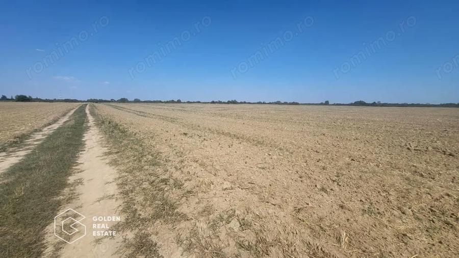 Teren Mosnita Noua, 11600 mp - 1