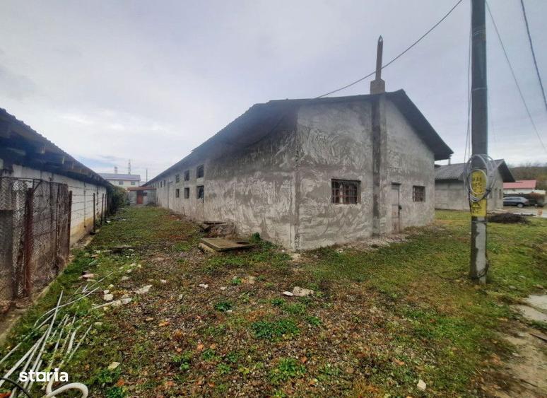 Spatiu comercial Ocol , 720 metri Cod:148594 - 6