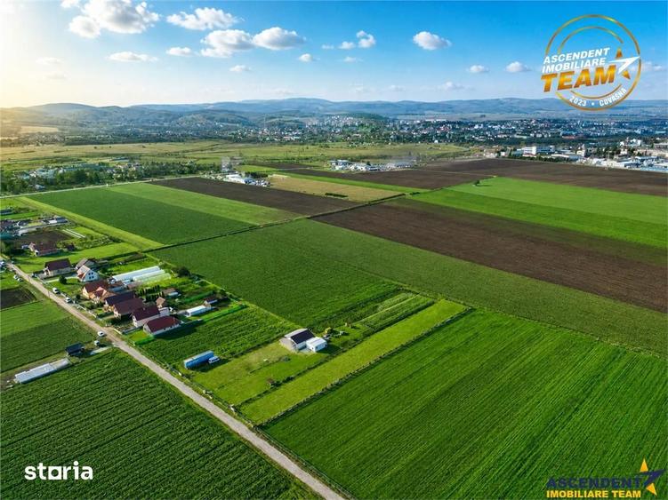 Liniste si aer curat in proximitatea Municipiului Sfantu Gheorghe - 3