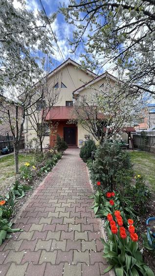 Vila spatioasa+societate comerciala - 1