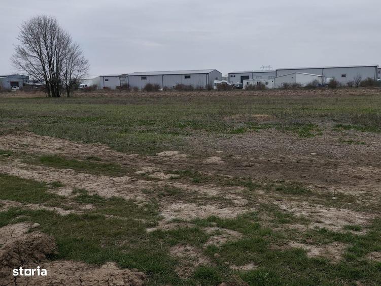 Fara Comisioane Loturi Teren Constructii Hale In Zona De Hale Merita V - 7