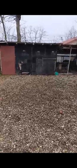 Vand casa la tara - 2