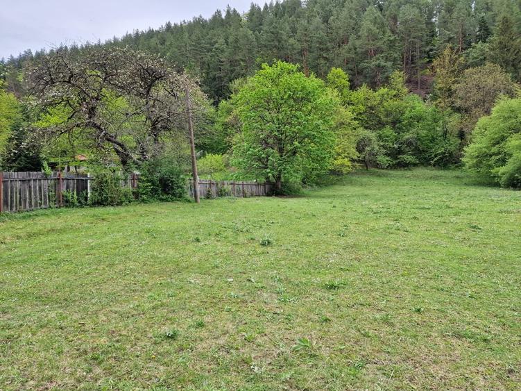 Teren intravilan 2936 mp. Bistrița jud Neamt - 1