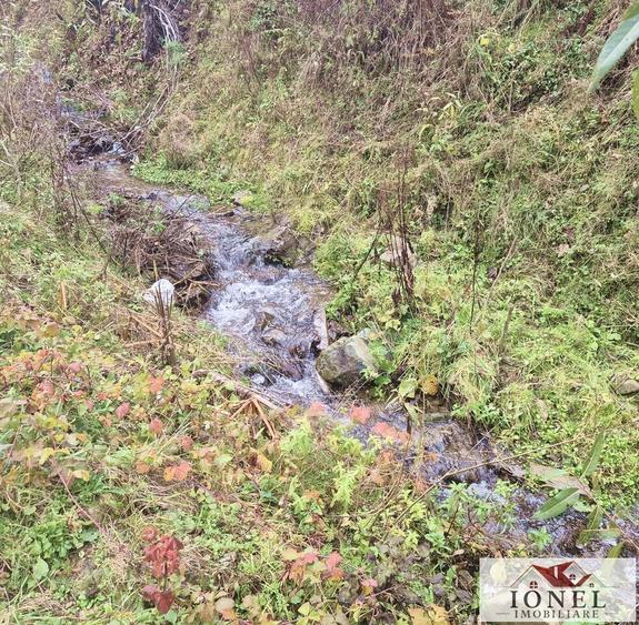 Casa de vanzare in Bistra -1700 mp teren - 8