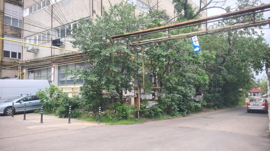 Spatiu Theodor Pallady - 2