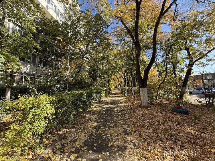 3 Camere | Metrou Tudor Vladimirescu | Partial mobilat - 18