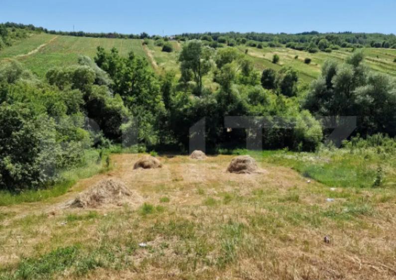 Teren intravilan, ideal constructie casa, 12 ari in zona Va - 1