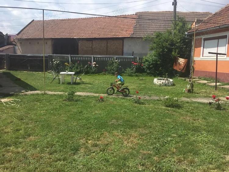 vand casa la tara - 3