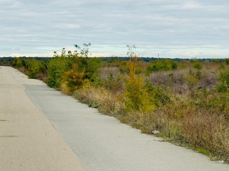 Teren extravilan Chitila/Mogosoia 15895mp - 5