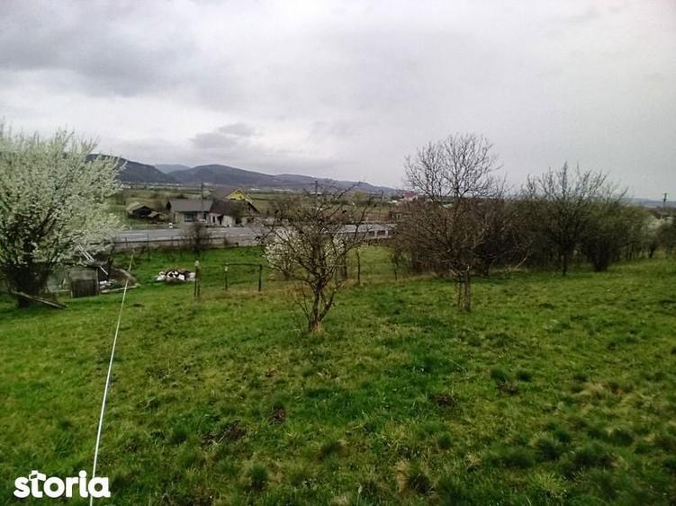 Teren intravilan Coldau la drumul european - 3