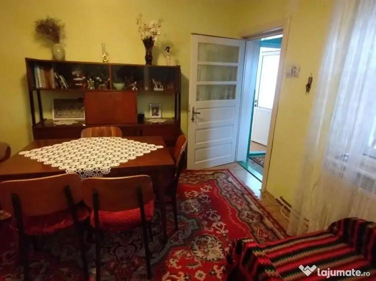 Casa Coiciu - Brick - 2