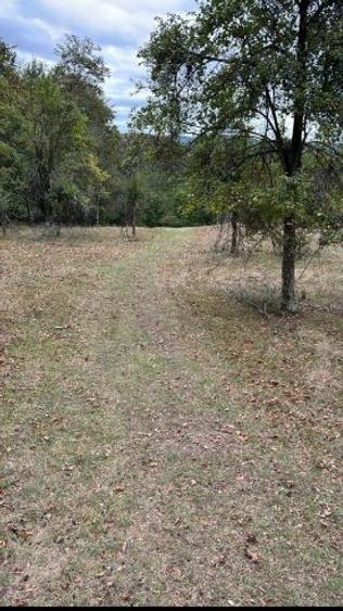 Teren 5000 mp la 3 km de barajul Paltinu, Sotrile,Prahova - 8