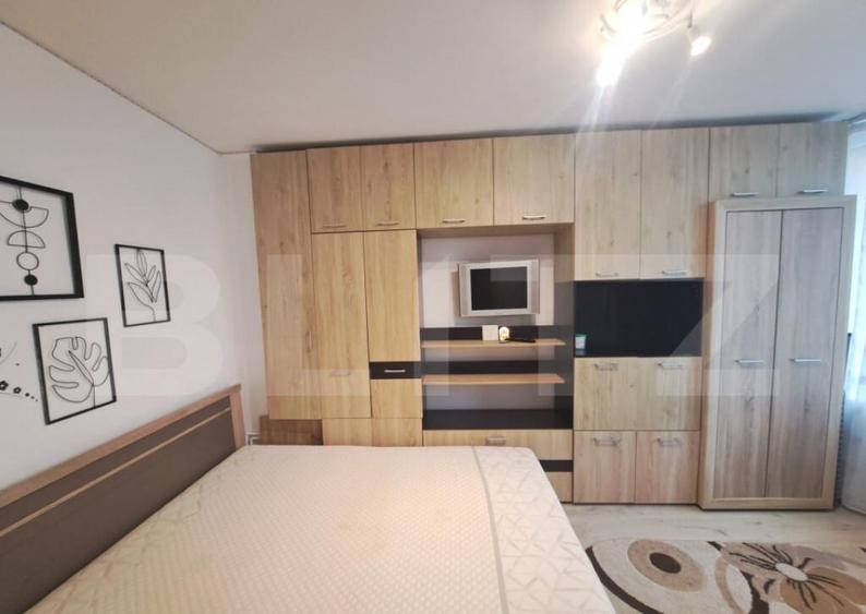 BLITZ va propune spre vanzare o garsoniera complet mobila - 2