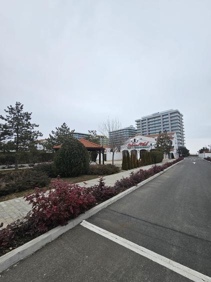 Arena  Regia Vila  P+1  cu  Garaj Living 4 Dormitoare Mobilata Utilata Scu 400mp - 3