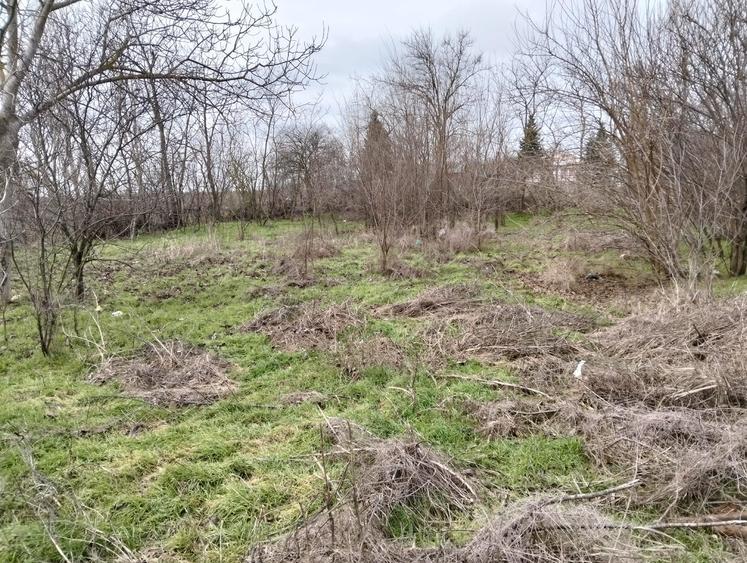 Comuna Vladeni Judetul Ialomita - 5