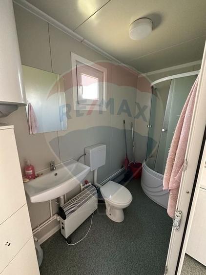 Ferma porcine la cheie - 17