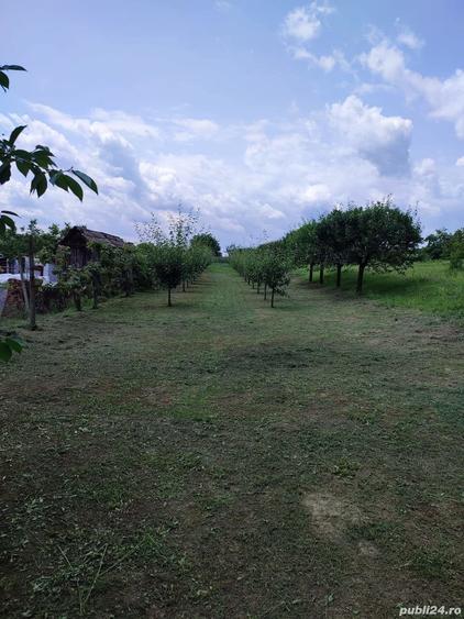 Teren de 1400 mp, în Jidvei