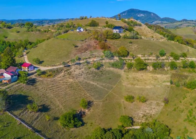 Teren extravilan 6,014mp | Holbav | BRASOV | COMISION 0| - 7