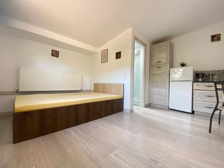 Apartament cu 1 camera, zona Podu Ros - 4