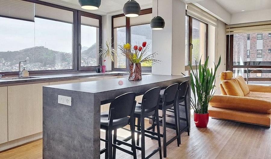 Priveliste Panoramica Spre Oras Si Masivul Tampa - 5