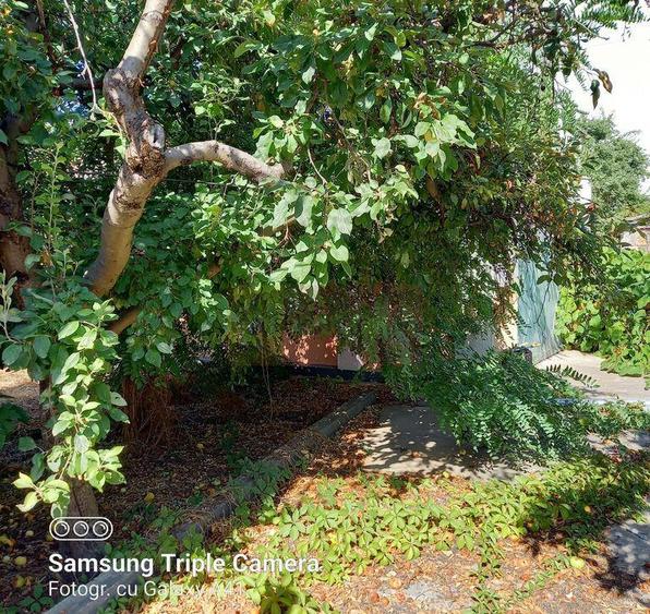 Vanzare teren Fundeni, sector 2 - 16