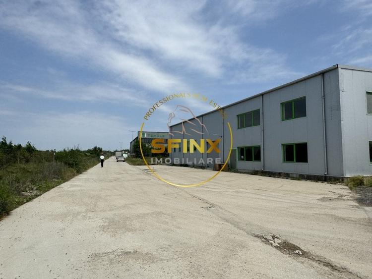 Hala si birouri zona Mogosoaia sos Odai - 20